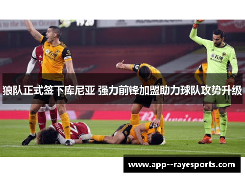 狼队正式签下库尼亚 强力前锋加盟助力球队攻势升级 狼队正式签下库尼亚 强力前锋加盟助力球队攻势升级